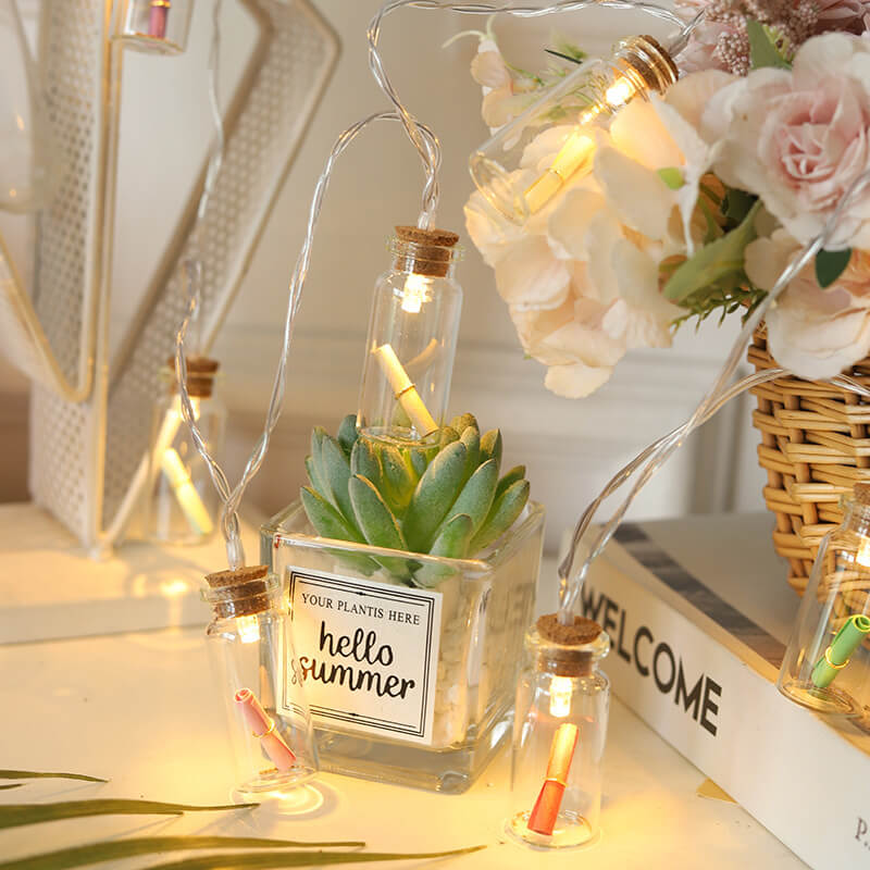 Yeouu | Christmas LED Wishing Bottle Tree Snow Battery Box Decorative String Light