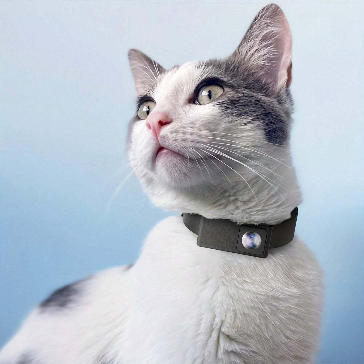 Yeouus | Portable 160° Pet Camera for Cats & Dogs with 1080P HD Video – 32GB