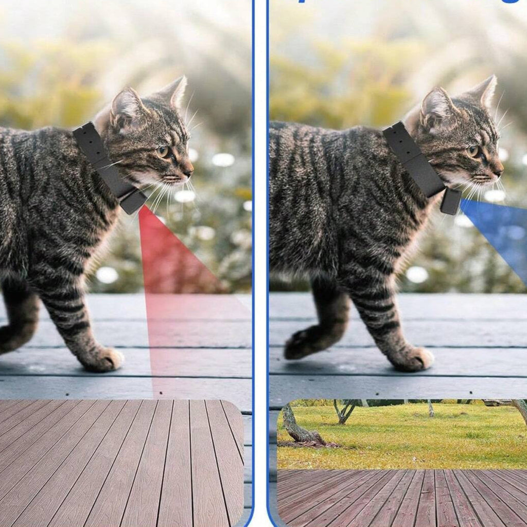 Yeouus | Portable 160° Pet Camera for Cats & Dogs with 1080P HD Video – 32GB