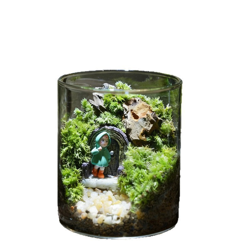 Miniature garden in glass, handmade