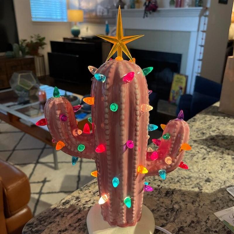 Yeouu | Vintage Christmas Cactus