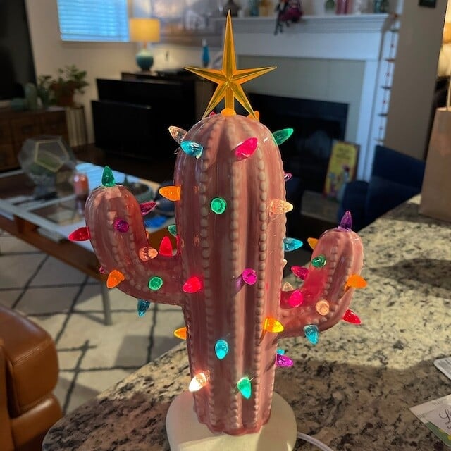 Yeouu | Vintage Christmas Luminous Cactus