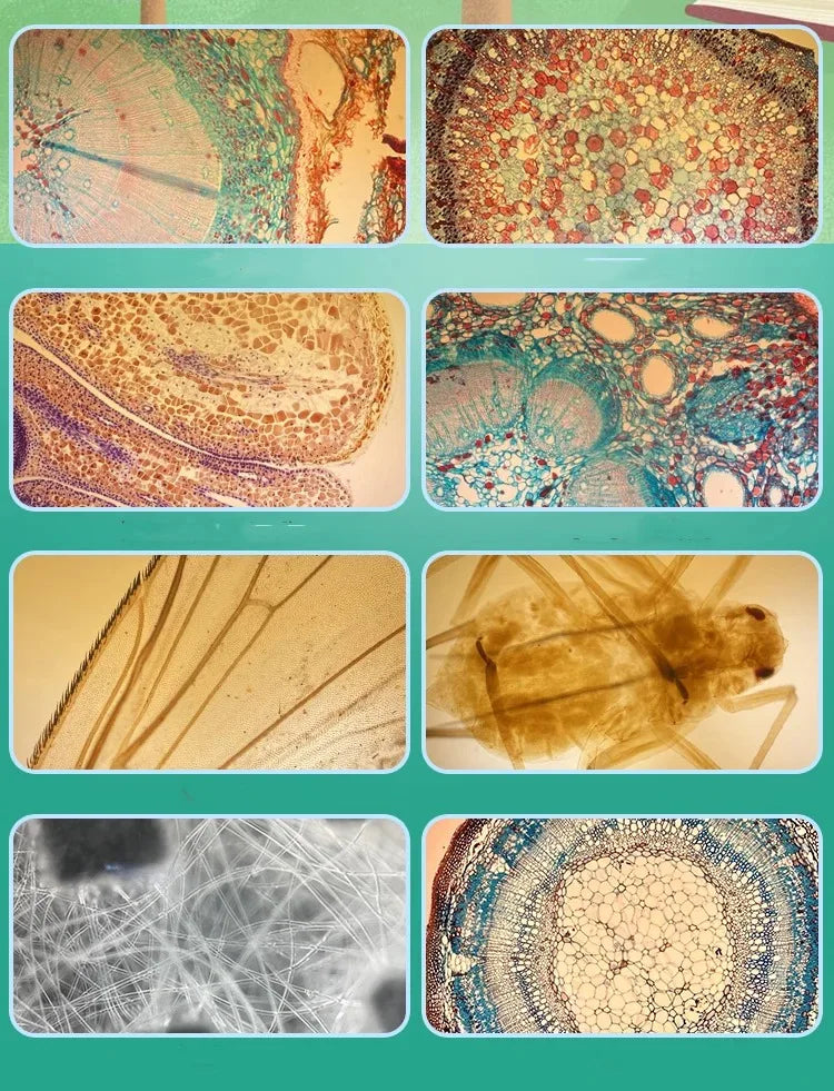 Multi-Functional 400X Microscope iPhone Case