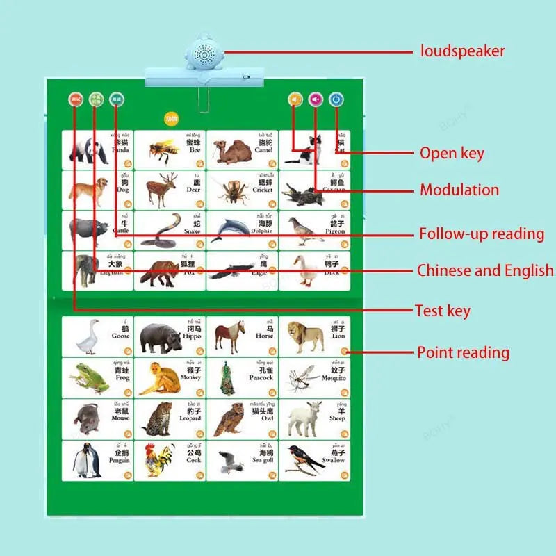 Kids Learning Point & Play Audio Book