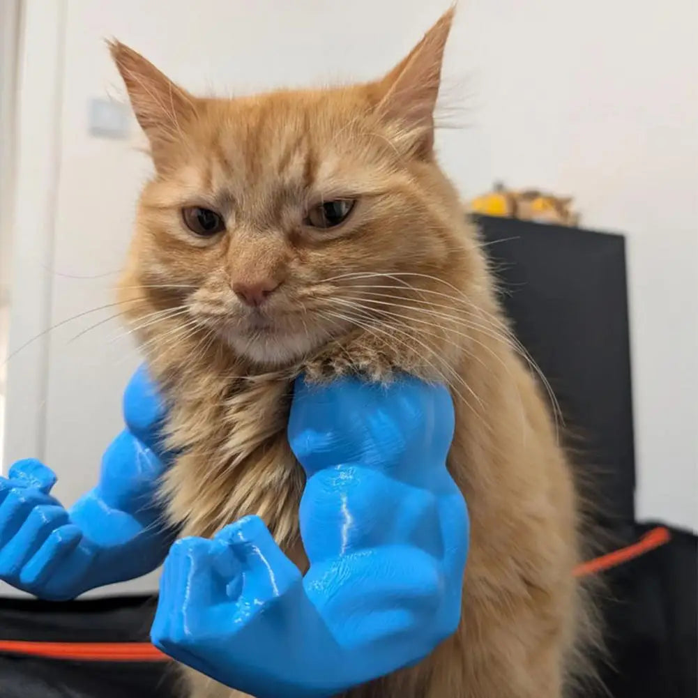 Funny Cat Muscle Arms