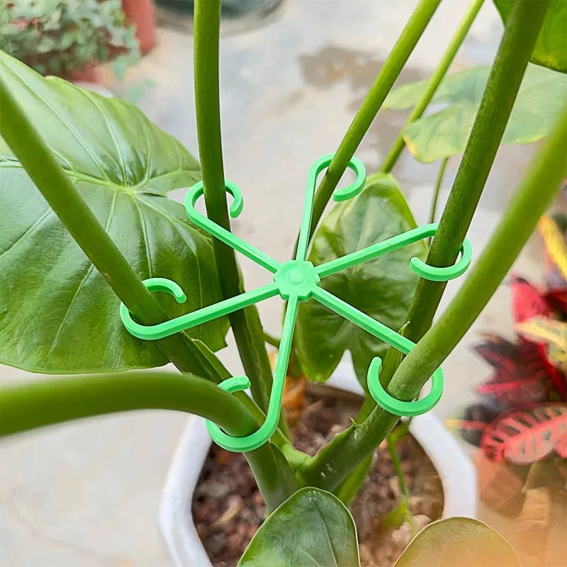 Plant Stem Support Frame