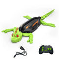 RC Wall Crawler Toy