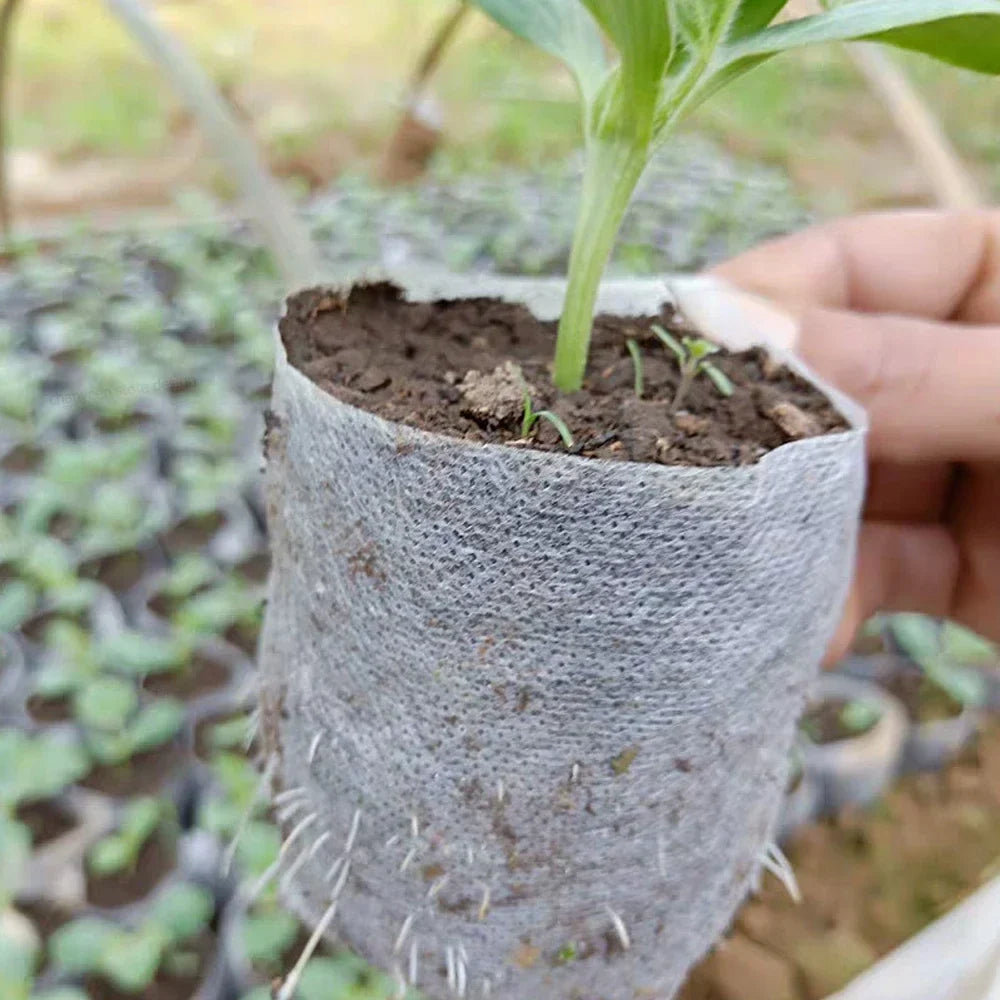 Biodegradable Plant Grow Bags