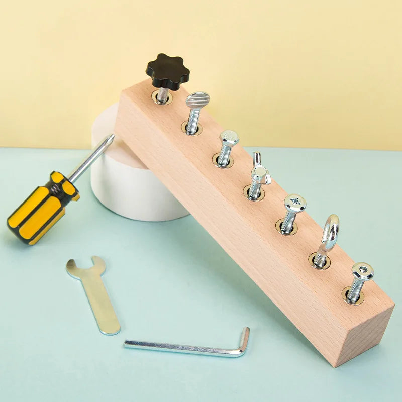 Kids Wooden Screw Nut Disassembly Toy