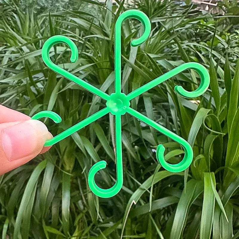Plant Stem Support Frame