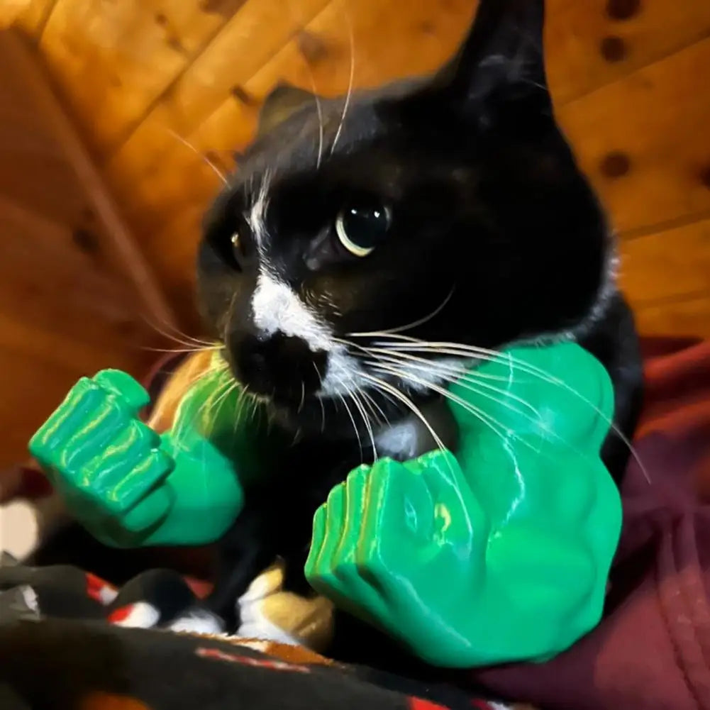Funny Cat Muscle Arms