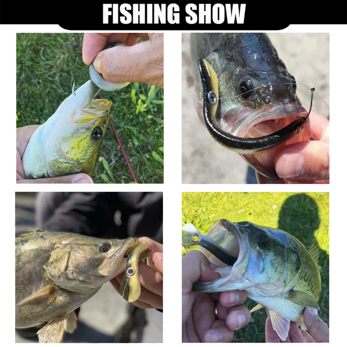Fishing Lure