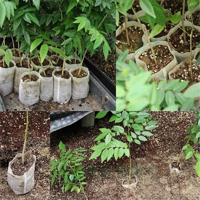 Biodegradable Plant Grow Bags