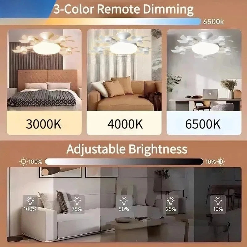 RC Ceiling Fan with LED