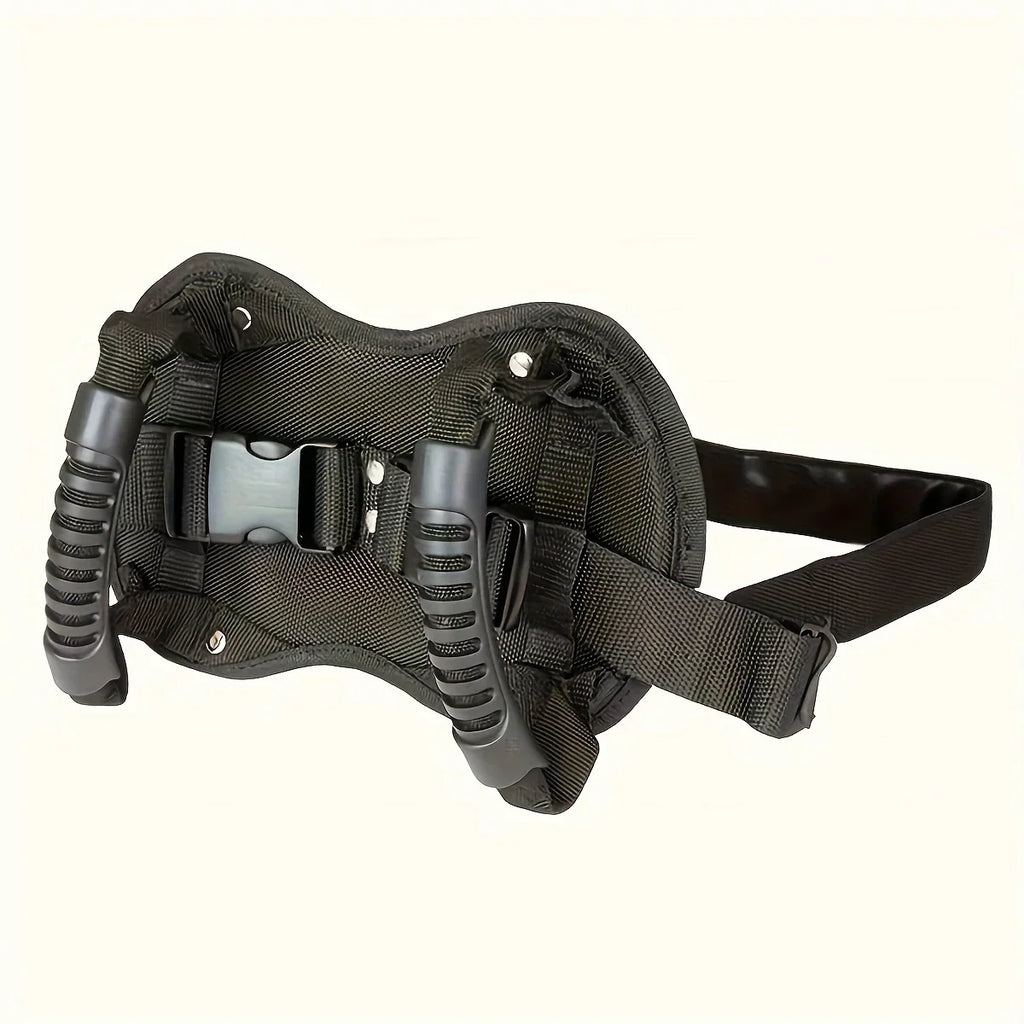 Motorcycle Rear Seat Passenger Safety Armrests