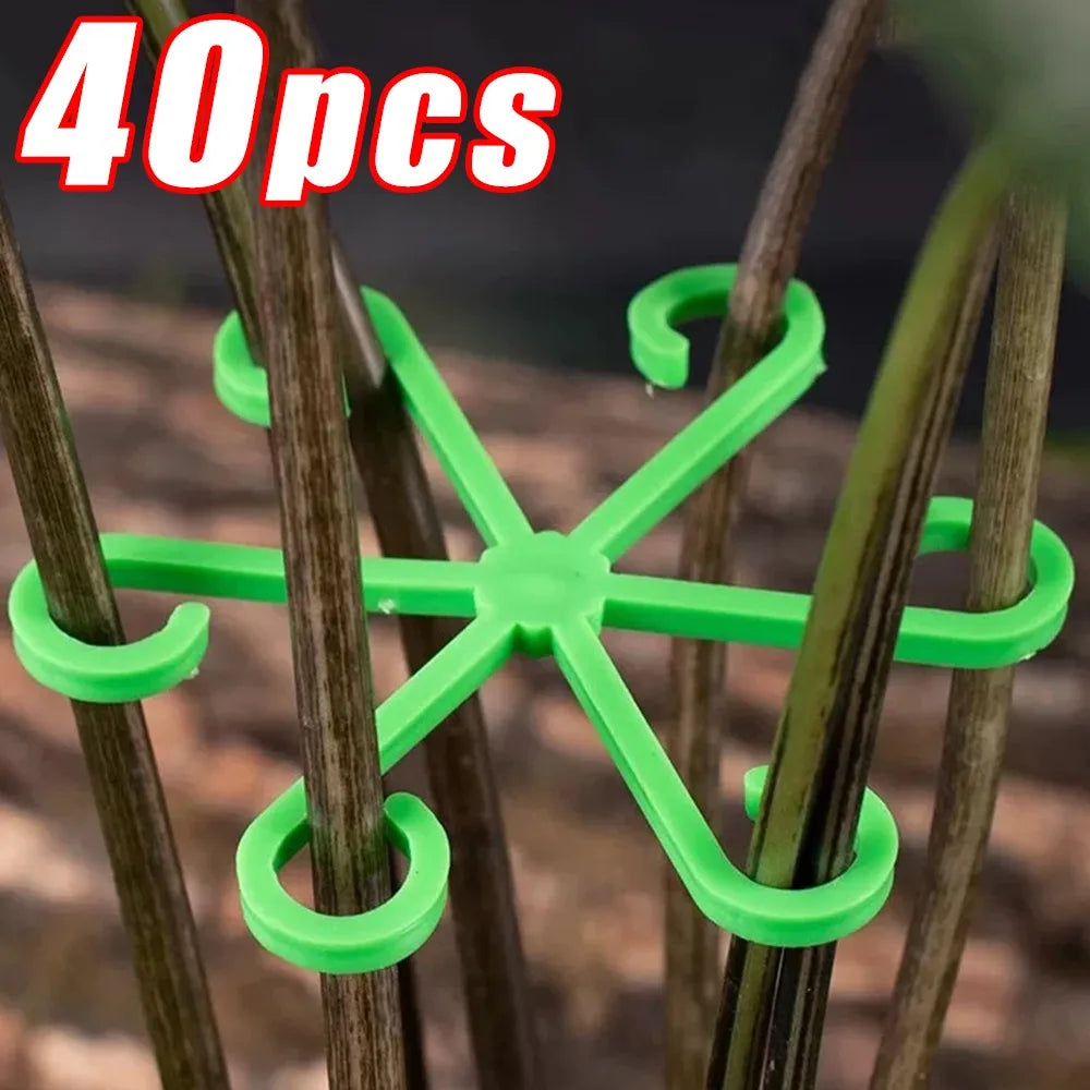 Plant Stem Support Frame