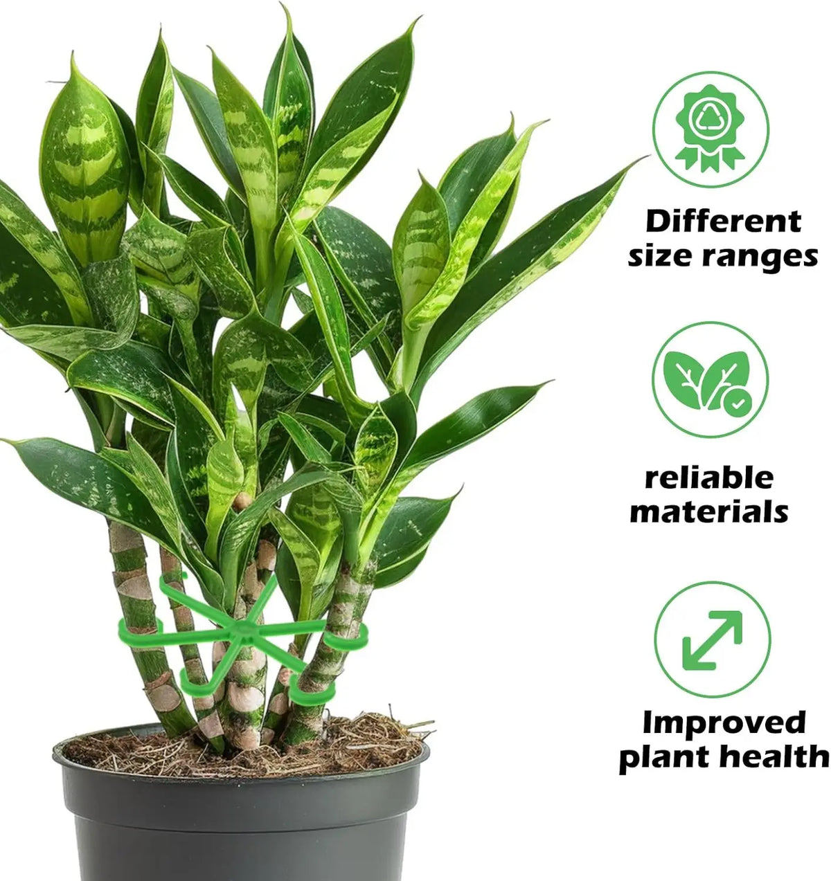 Plant Stem Support Frame