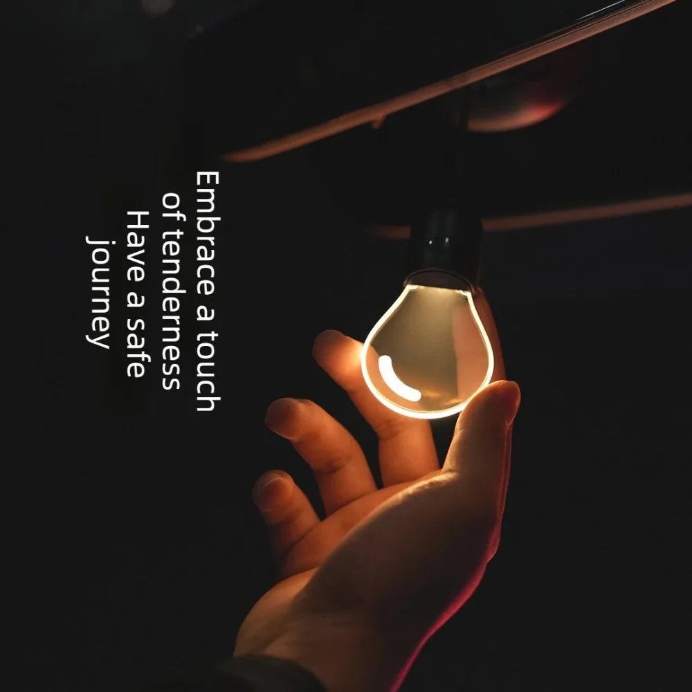 Bulb Car Cabin Light