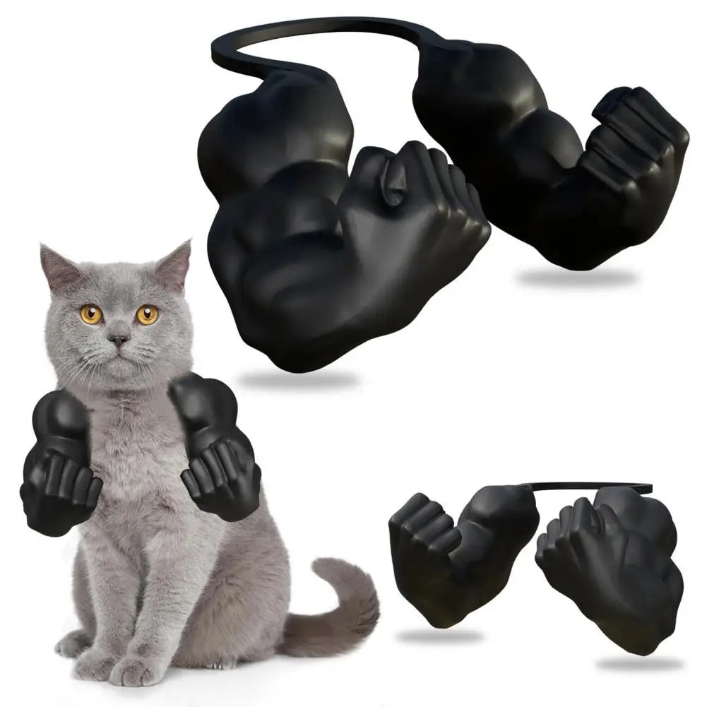Funny Cat Muscle Arms