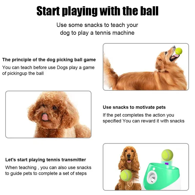 Fun Interactive Automatic Ball launcher Machine