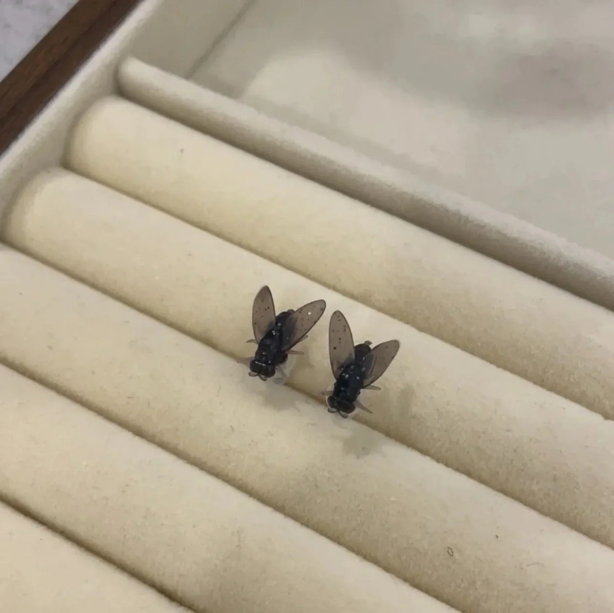 Funny Black Fly Stud Earrings