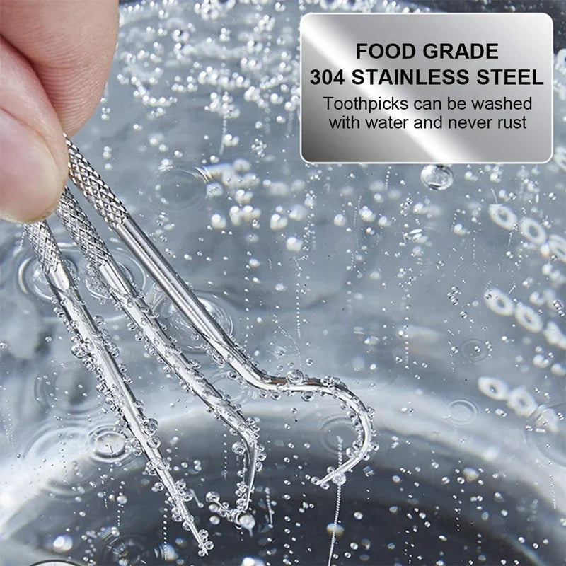 Stainless Steel Reusable Toothpick Set