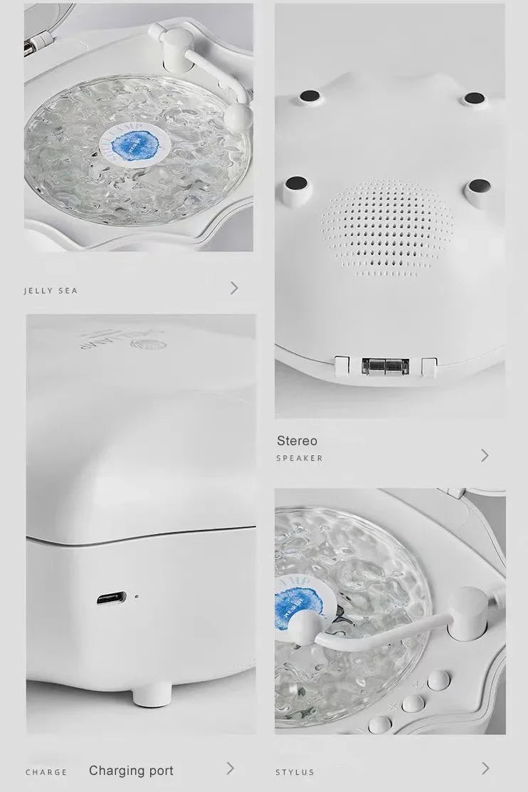 Shell Bluetooth Wireless Speaker