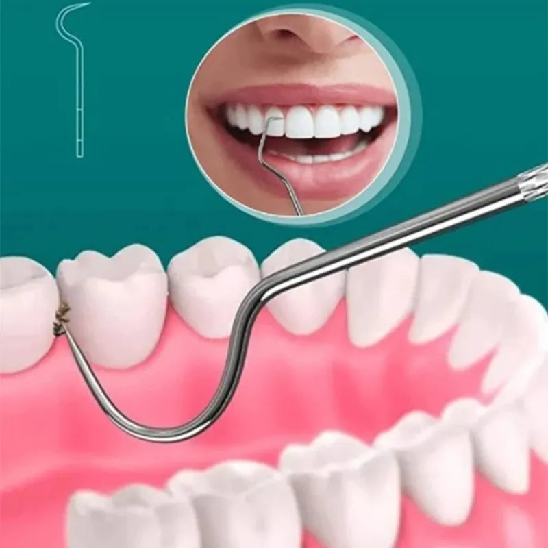 Stainless Steel Reusable Toothpick Set