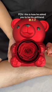 Teddy Bear Rose Gift Set