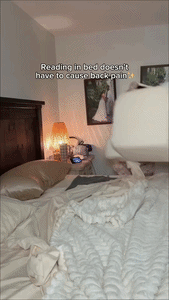 Spine Ease Lounge Pillow
