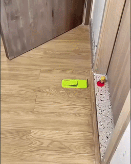 Flexible Spring Door Guard