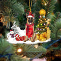 Yeouu | Christmas Family Puppies Decorate Trees With Lights