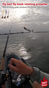 Easy  Fishing Lures