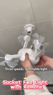 RC Ceiling Fan with LED