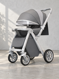 Meadow Ride Reversible Folding Baby Stroller