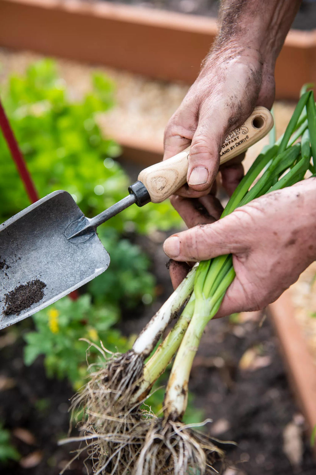 Gardener's Lifetime Trowel