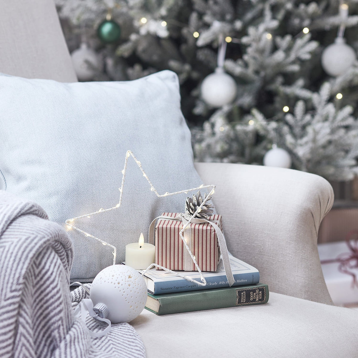 Yeouu | Christmas Decorations Star Light Display
