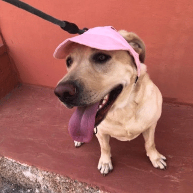 Yeouus | Dog hat