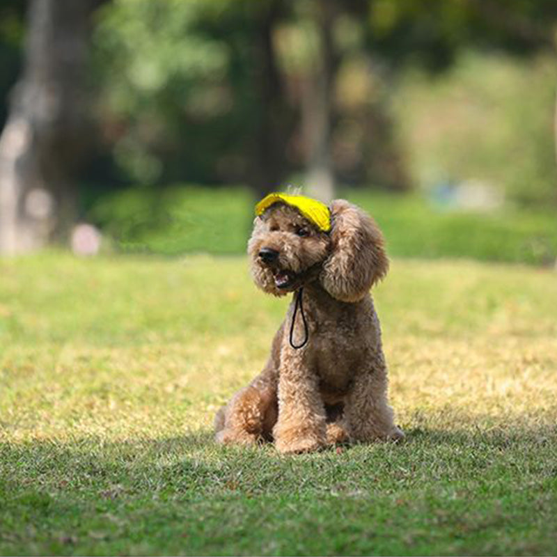 Yeouus | Dog hat