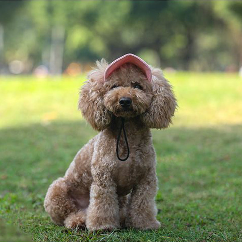 Yeouus | Dog hat
