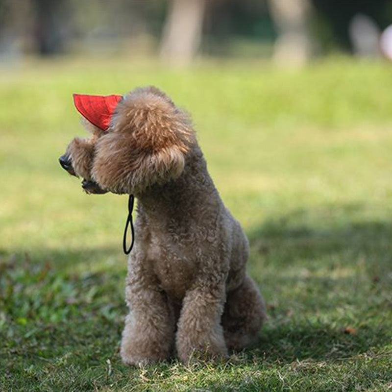 Yeouus | Dog hat